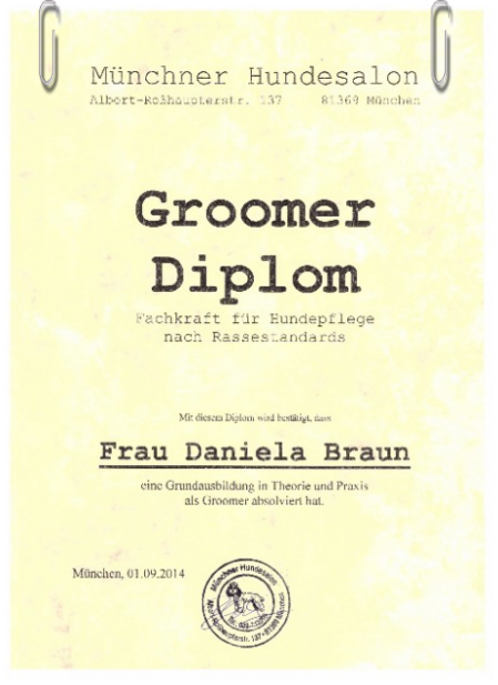 Groomer Diplom Fachkraft für Hundepflege nach Rassenstandards