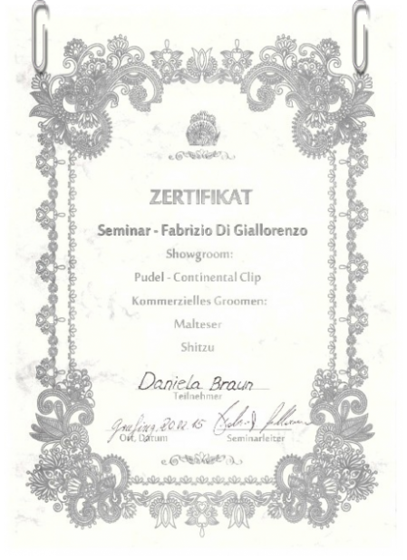 Zertifikat vom Seminar Favrizio Di Giallorenzo